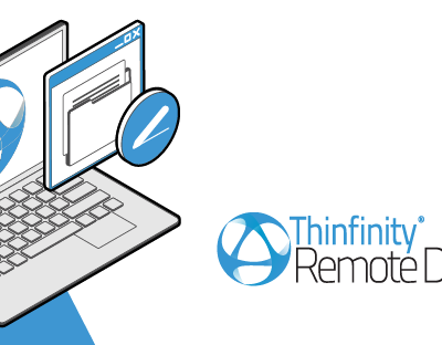 How to customize the 'ThinDisk' name
