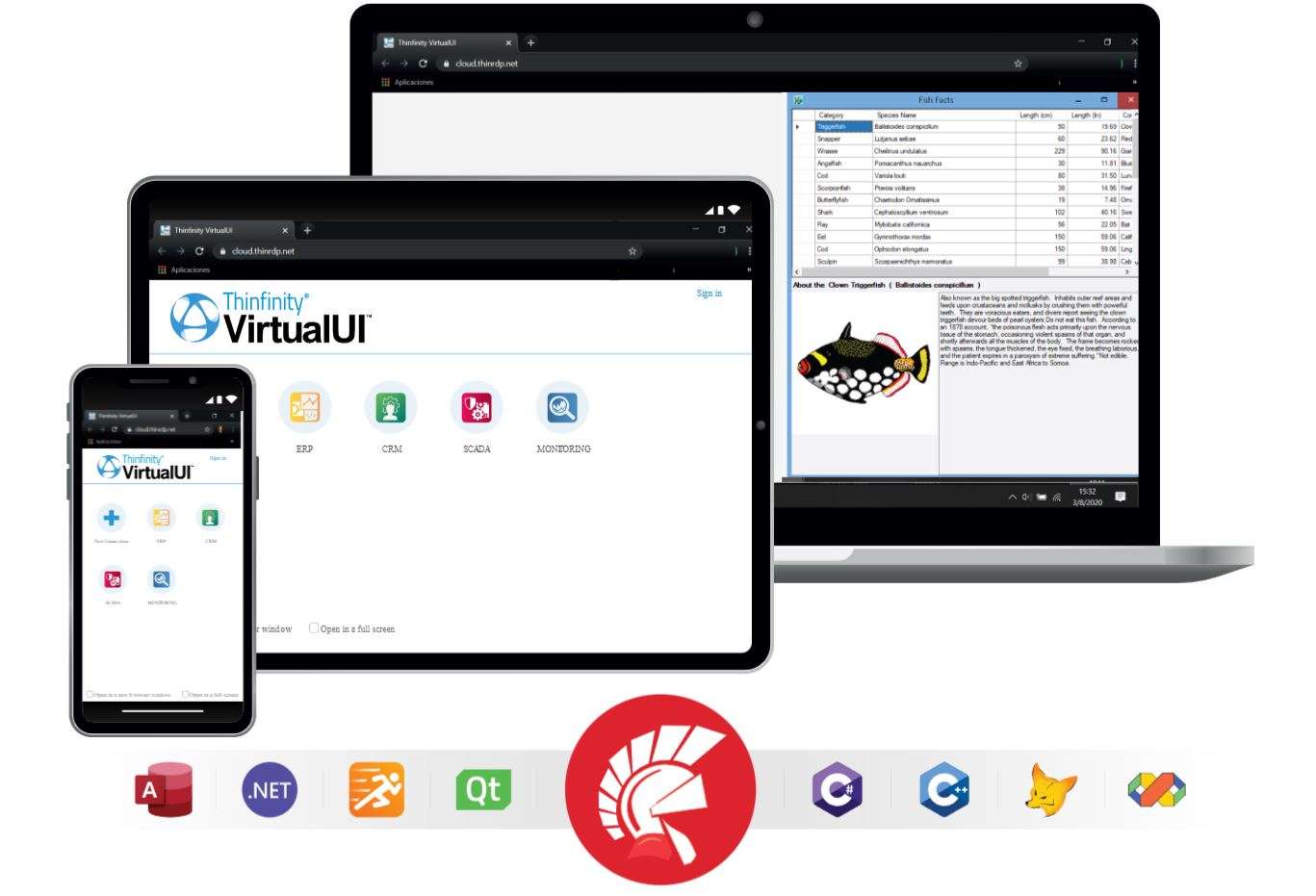 Delphi apps to Web
