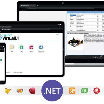 Publish a .NET application