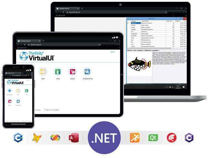 Publish a .NET application