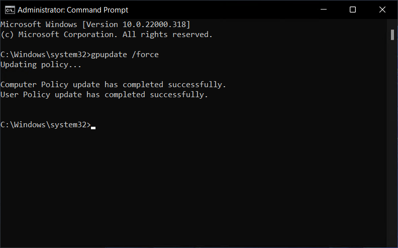 Command Prompt - How to enable Bidirectional Audio Redirection