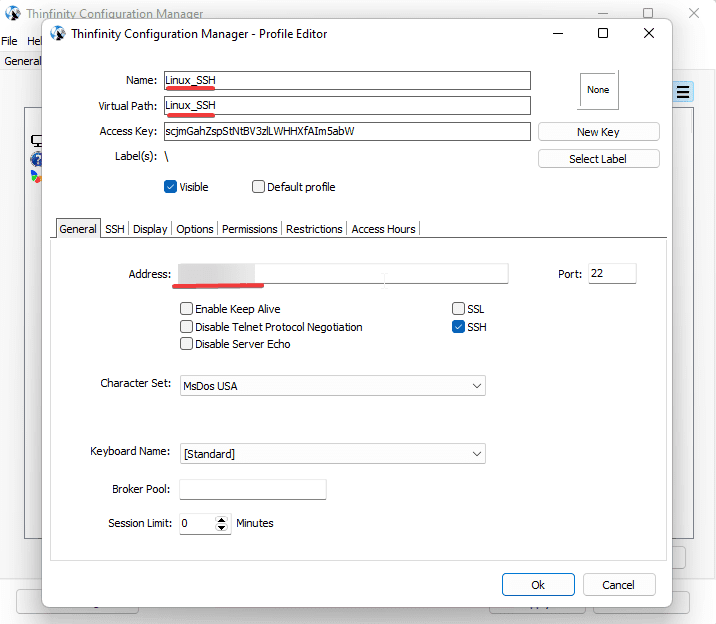 Create SSH connections from your browser using the Thinfinity Remote Workspace, step 02