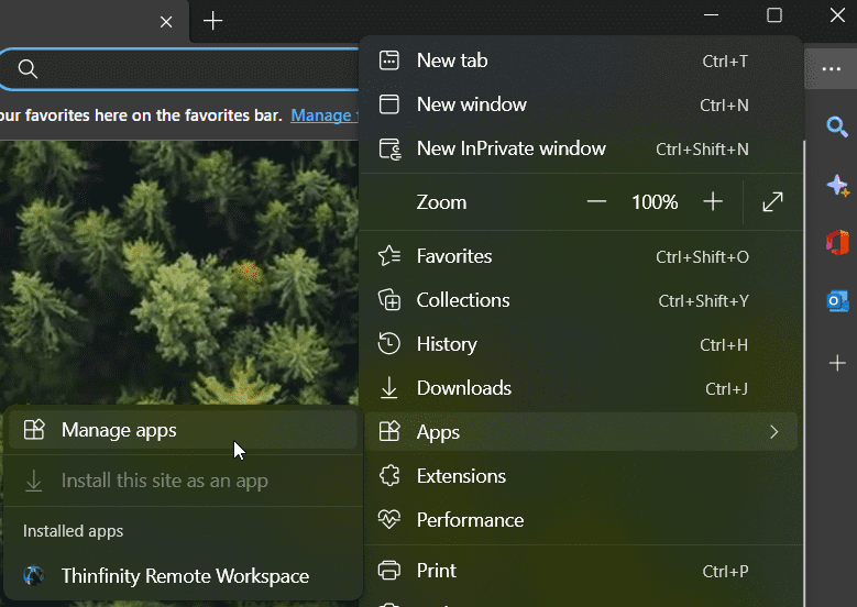 Create a desktop shortcut to Thinfinity Remote Workspace, step 09