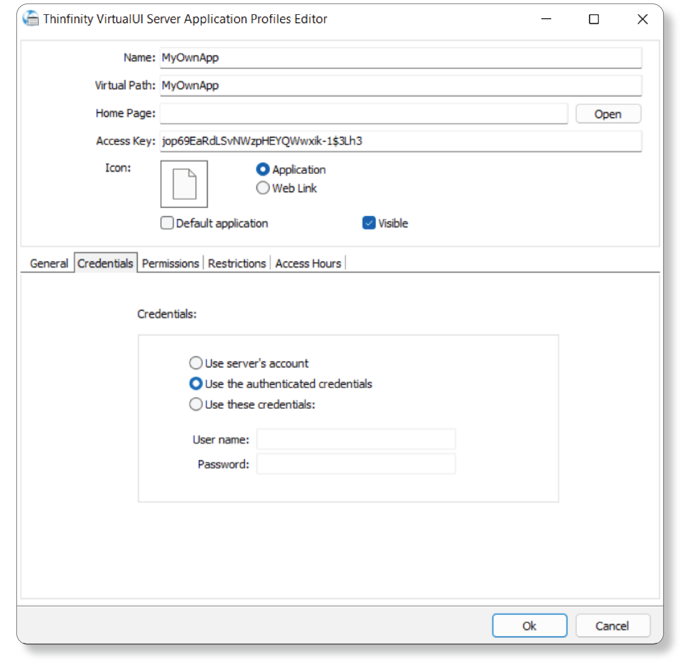 Profile editor for an application in Thinfinity VirtualUI - screenshot