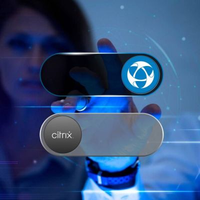 workspace vs citrix