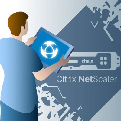 Top Alternative to Citrix Netscaler in 2024